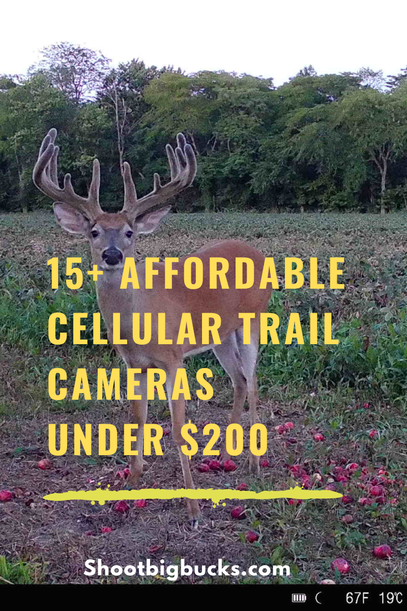 15-affordable-cellular-trail-cameras-under-200-shoot-big-bucks