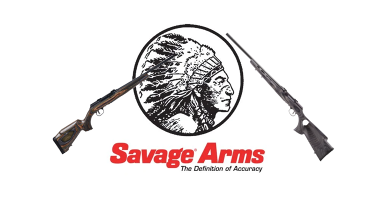 Best Savage 22 Rifles